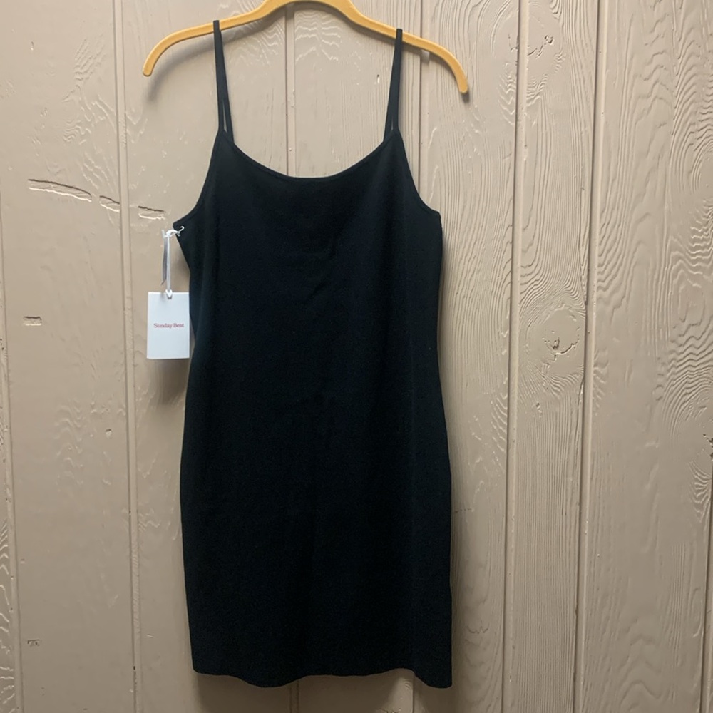 Aritzia Sunday Best Henrietta Dress NWT